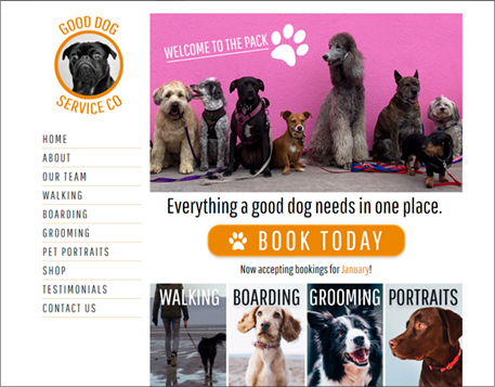 Professional-looking Designs like this dog services website